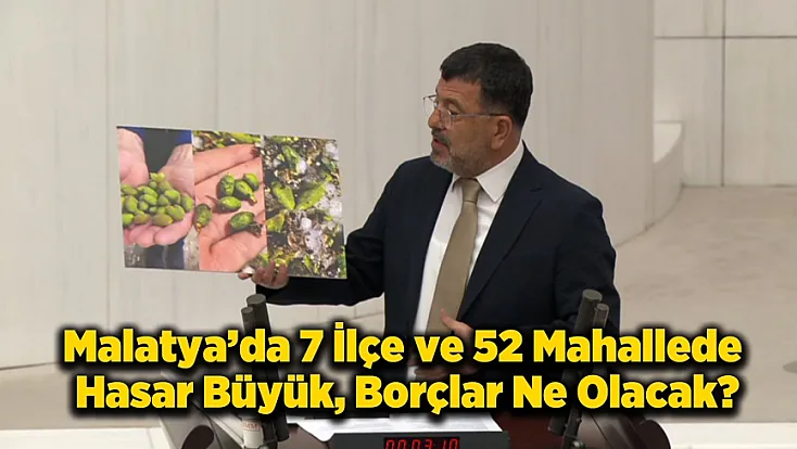 Malatya Kayısısında Dolu Felaketi! Veli Ağbaba Meclis'te Fotoğraflarla İsyan Etti