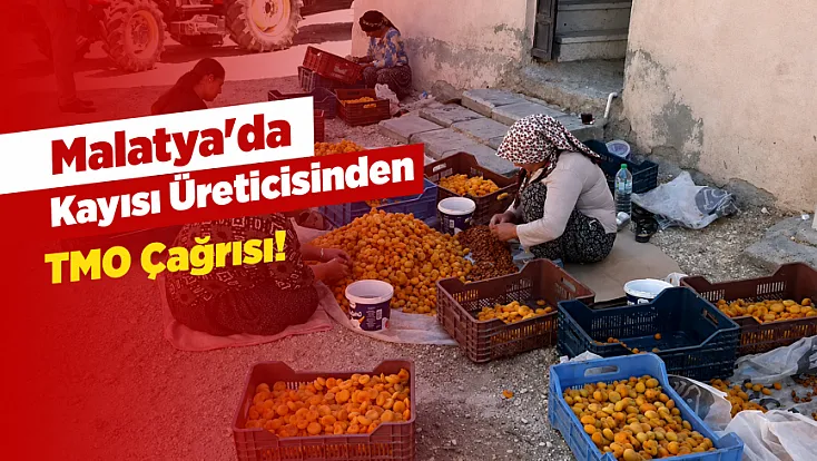 Malatya Kayısısında Fiyat Krizi! Üretici TMO'yu Göreve Davet Etti