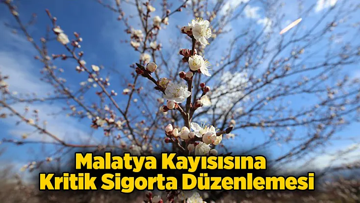 Malatya Kayısısını Dona Karşı Devlet Koruyacak