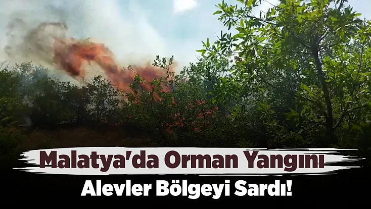 Malatya Kırmızı Alarmda: İki İlçede Birden Yangın!