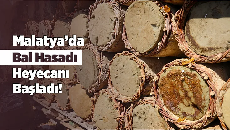 Malatya’nın Bu İlçesinde Bal Hasadı Başladı!