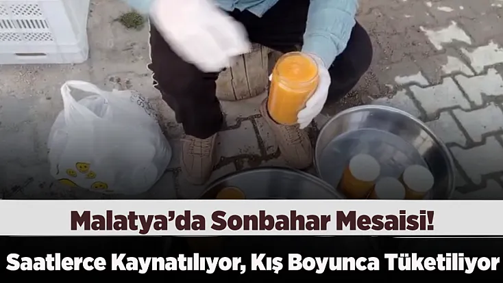 Malatya’nın Dağlarında Alıç Mesaisi Başladı! Kışlık Lezzet Kazanlarda Hazırlanıyor