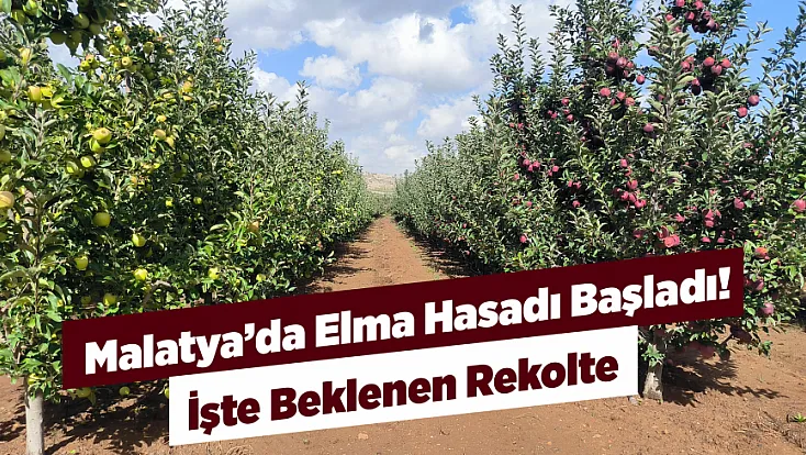 Malatya’nın Elma Bahçelerinde Hasat Mesaisi!