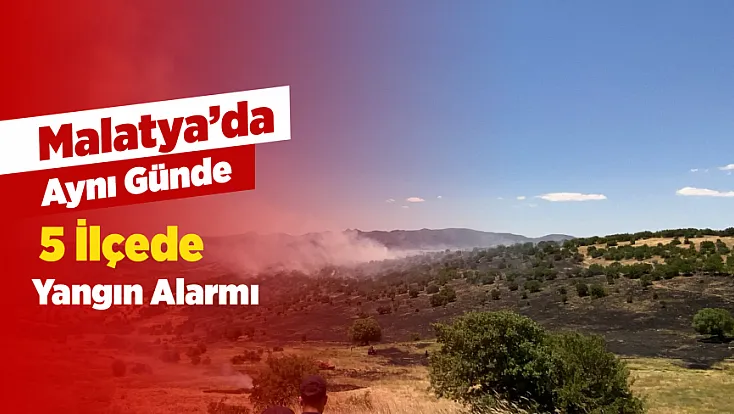 Malatya'nın Farklı İlçelerinde Yangınlar Peş Peşe Çıktı!