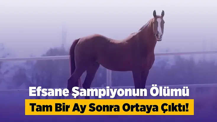 Malatya TİGEM Şampiyonun Ölümünü Gizledi!