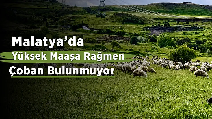 Malatya Yayla Sezonunu Açtı! Küçükbaş Yetiştiricileri Zorlu Sürece Hazırlanıyor