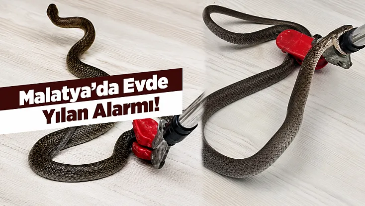 Malatya Yeşilyurt’ta Evde Yılan Sürprizi!