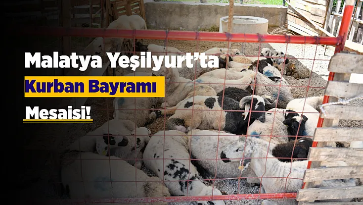 Malatya Yeşilyurt’ta Kurban Bayramı Öncesi Yoğun Mesaisi!