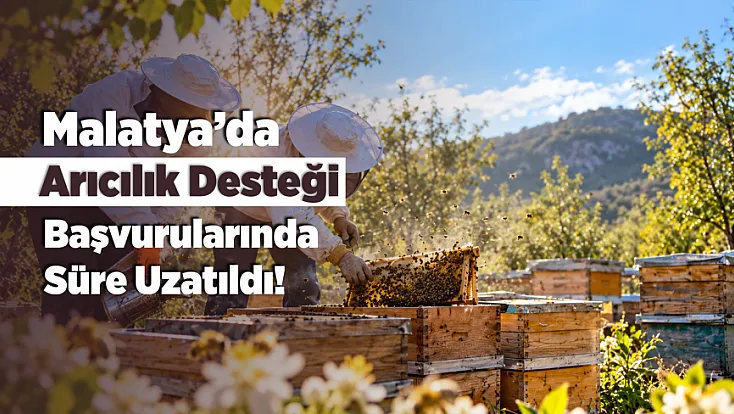 Malatyalı Arıcılara Müjde! Başvuru Süresi Uzatıldı