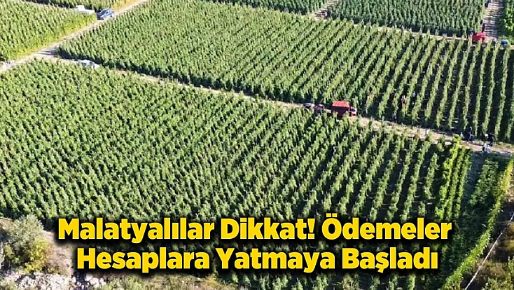 Malatyalılar Dikkat! 12,8 Milyar TL'lik Destek Ödemesi Başladı