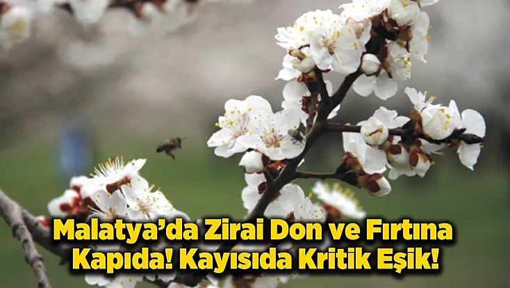 Meteoroloji'den 6 İlçe İçin Kritik Zirai Don Uyarısı!