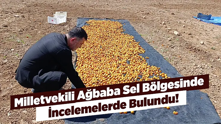 Milletvekili Ağbaba Sel Bölgesinde İncelemelerde Bulundu!