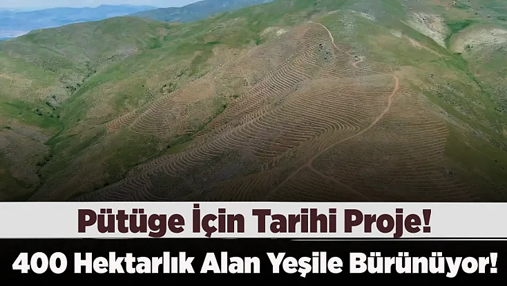 Pütürge'de Geleceğe Nefes! Dev Ağaçlandırma Çalışması Sürüyor