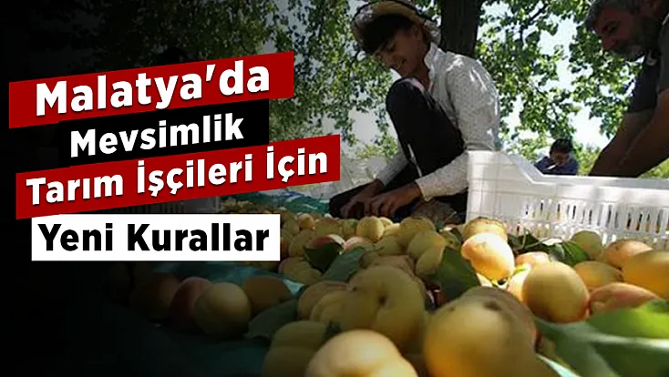 Tarım Sezonu Öncesi Malatya'da Geçici Barınma Merkezlerinde Yeni Genelge!