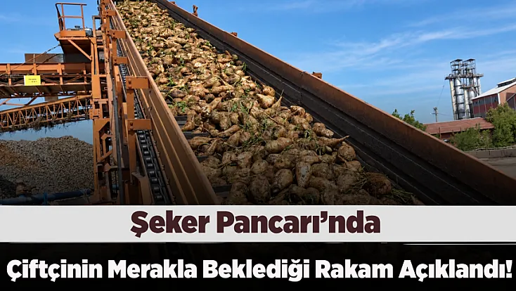 TÜRKŞEKER Rakamı Verdi! Şeker Pancarı Alımında Bu Yıl Ton Başına Ne Kadar Ödenecek?