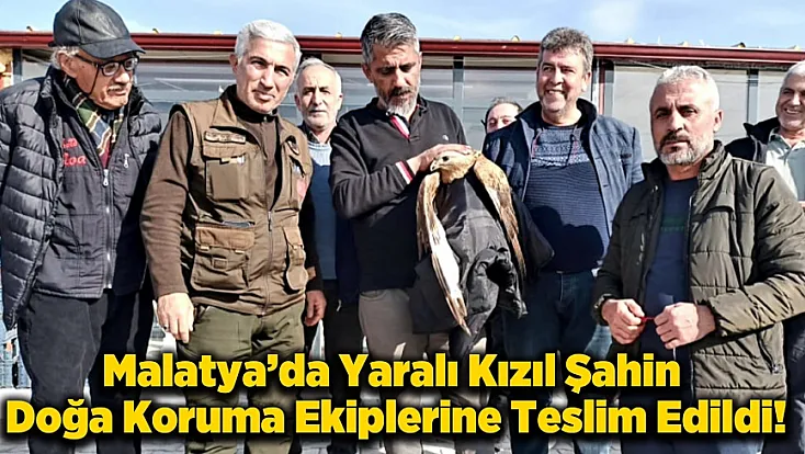 Yeşilyurt’ta Kanadı Kırık Kızıl Şahin Vatandaşların Duyarlılığıyla Hayata Tutundu