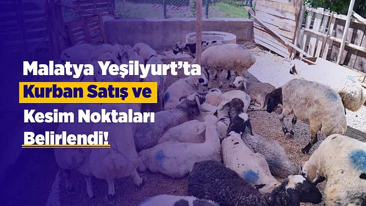 Yeşilyurt’ta Kurban Bayramı Öncesi Hazırlıklar Yoğunlaştı!