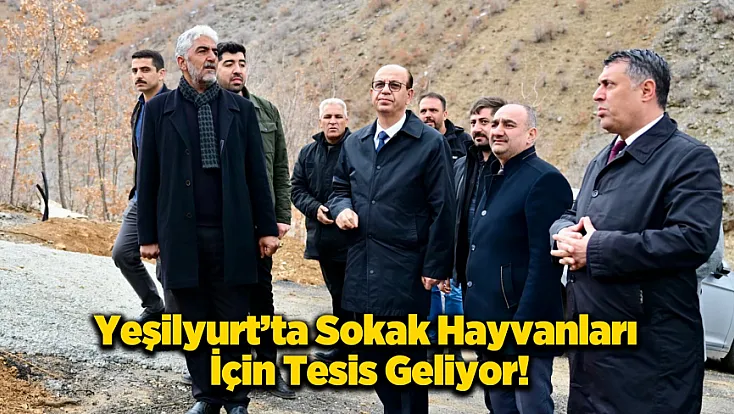 Yeşilyurt’tan Sokak Hayvanlarına 50 Dönümlük Yuva!