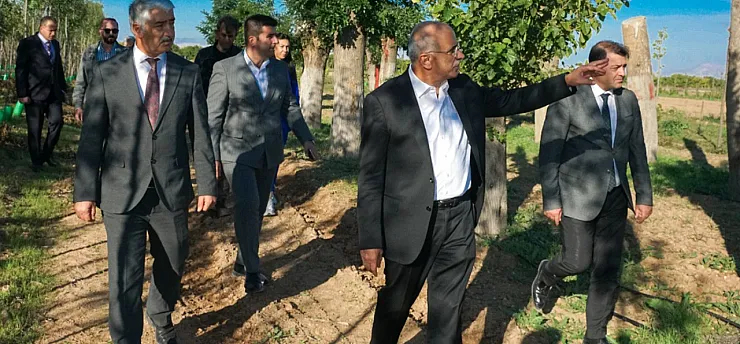 Malatya'da Yeşil Seferberlik! Her Yıl 20 Bin Fidan Üretiliyor