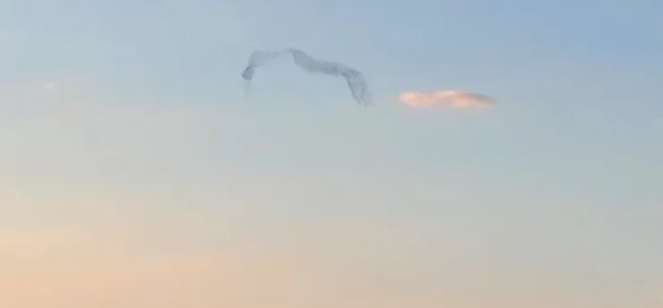 Akçadağ'da Doğanın Gösterisi! Kuşlar Gökyüzünde İz Bıraktı