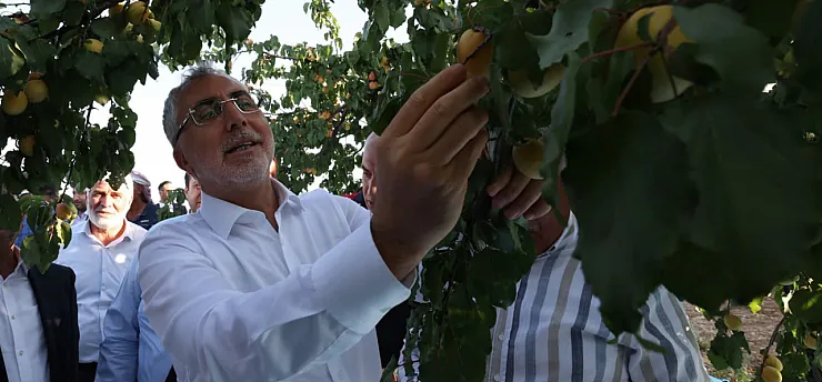 Bakan Işıkhan Malatya'da Kayısı Hasadında Tarım İşçileri ile Buluştu