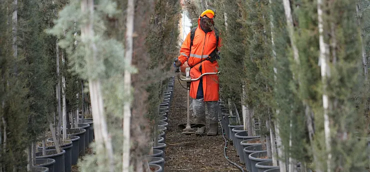 Battalgazi'de Çarşıbaşı Rekreasyon Alanı Hızla Yükseliyor