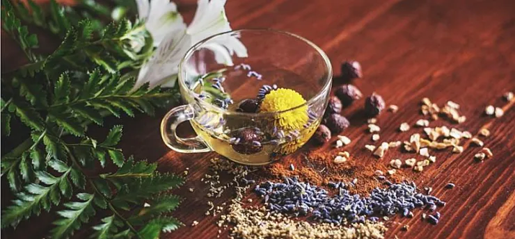 Bitki Koruma Ürünlerinde Elektronik Takip Zorunluluğu