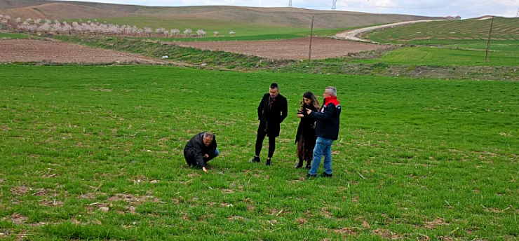 Hasatta Verim Kaybına Geçit Yok: Teknik Ekipler Boyaca'da Çiftçilerle Buluştu!