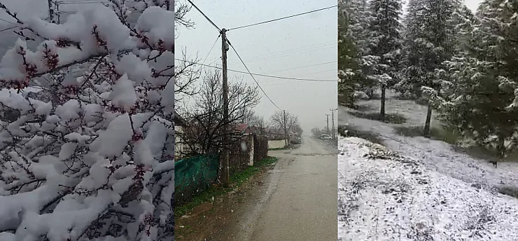 Kayısı Bahçelerinde Don Alarmı! Doğanşehir Beyaza Büründü