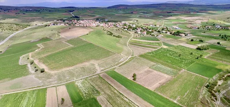 Malatya Akçadağ İçin Resmî Karar Yayımlandı! Tarım Arazilerinde Yeni Düzenleme