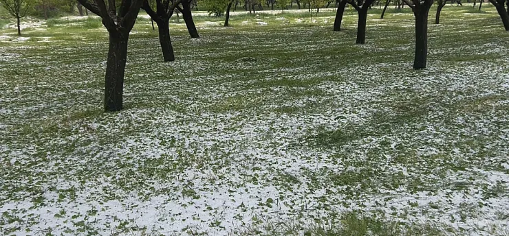 Malatya'da 10 Dakikalık Dolu Kabusu! Yollar Beyaza Büründü, Tarım Arazileri Zarar Gördü