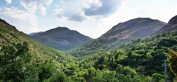 Malatya'da 62 Yangın Sonrası Çağrı! Herkes Dikkatli Olsun