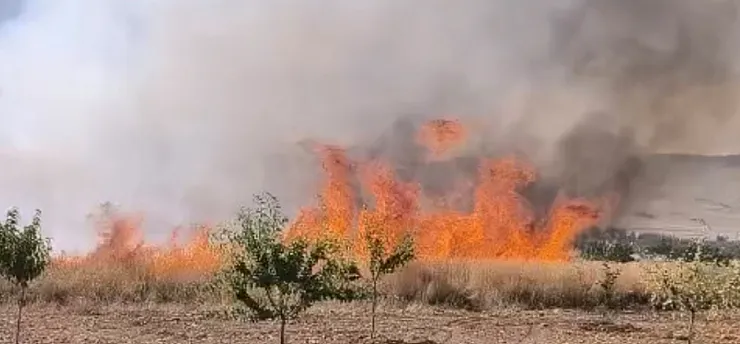 Malatya'da Alevler Buğday Tarlasını Yuttu