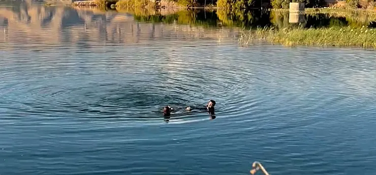 Malatya'da Barajda Erkek Cesedi Bulundu!