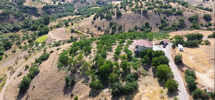Malatya'da Doktorluğu Bıraktı, Köyüne Döndü! Şimdi Kayısı Yerine Bunu Üretiyor