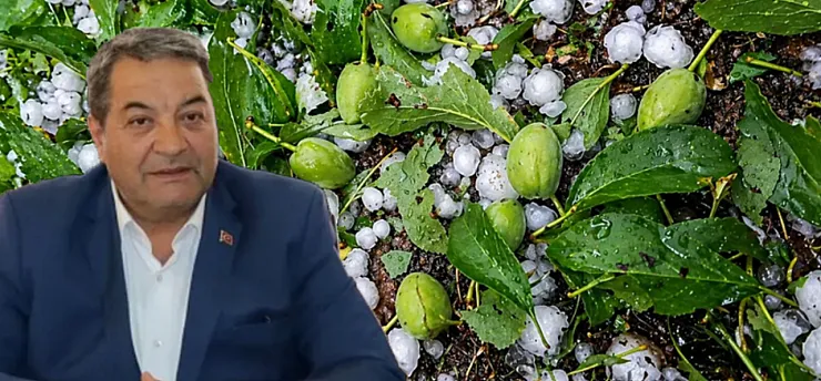 Malatya'da Dolu Kayısıyı Vurdu, Hasar Tespiti Başlayacak mı?