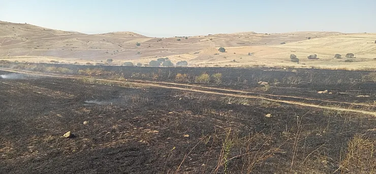Malatya'da Ekin Tarlası Alevlere Teslim Oldu!