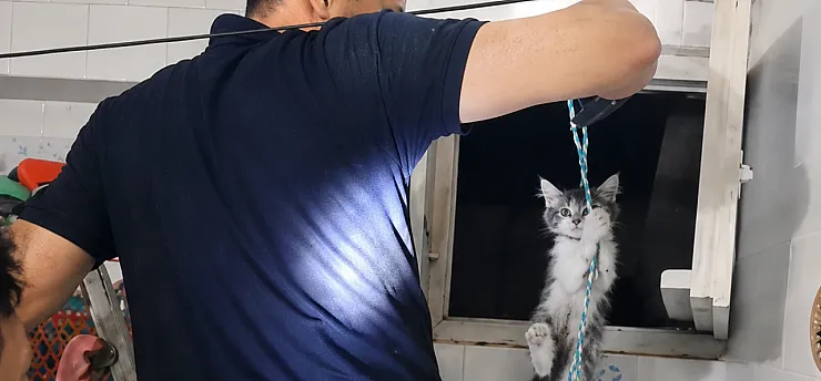 Malatya'da Havalandırma Boşluğundaki Minik Can Kurtuldu!