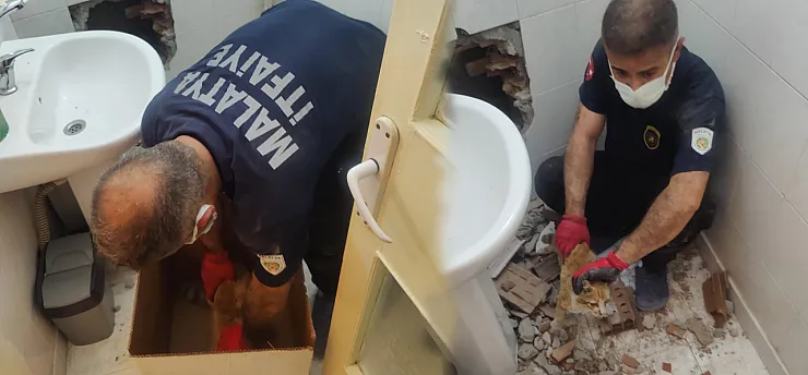 Malatya'da İki Bina Arasında Mahsur Kalan Kedi Kurtarıldı!