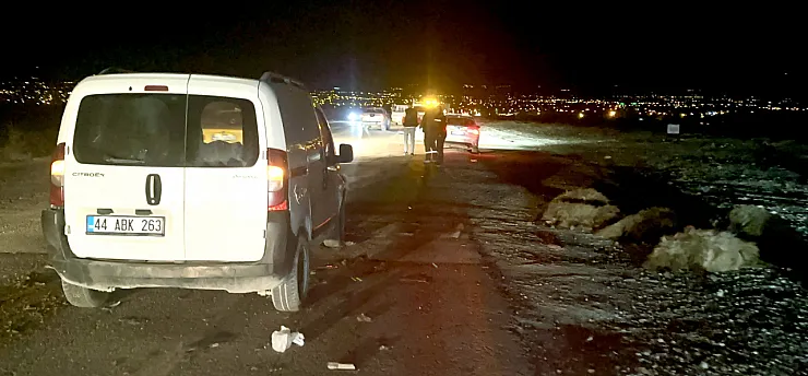 Malatya'da Katliam Gibi Kaza: 12 Koyun Telef Oldu