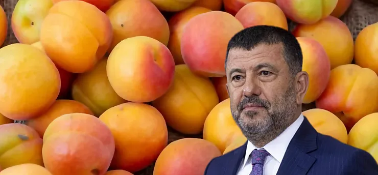 Malatya'da Kayısı Hasadı Başladı, Fiyat Tartışması Büyüdü! Ağbaba'dan Açıklama