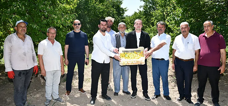 Malatya'da Kayısı Hasadı Sahaya Taşındı! Üreticiler Fiyat Ve Destek Beklentisini Dile Getirdi