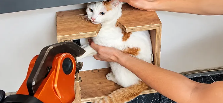 Malatya'da Minik Kedi İçin Kurtarma Operasyonu!