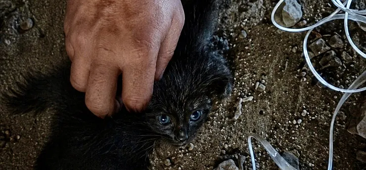 Malatya'da Nefes Kesen Kurtarma! Baca Boşluğunda Mahsur Kalmıştı