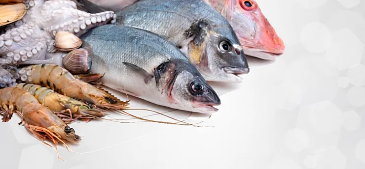 Malatya'da Oltalar Rafa Kalkıyor: 1 Nisan'da Başlayan Yasak Kimleri Kapsıyor?