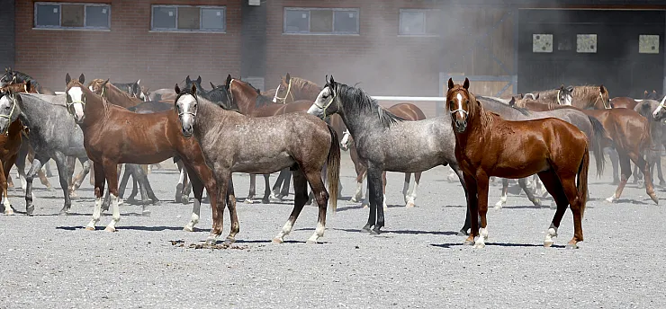 Malatya'da Şampiyonların Yeni Nesli Pistlere Hazırlanıyor!
