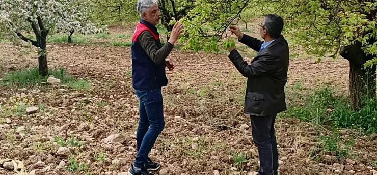 Malatya!da Tarım Alanlarında Hasar Tespit Alarmı! Üreticinin Kaybı Yerinde İnceleniyor