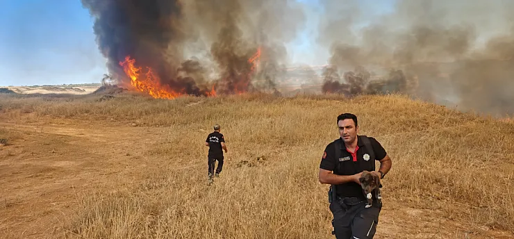 Malatya'da Yangında Yavru Köpek Son Anda Kurtarıldı!