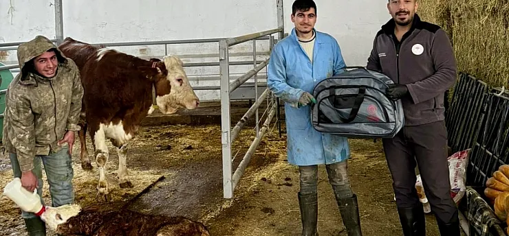 Malatya'da 'Yaşasın Buzağılar' Projesi Hayata Geçirildi!