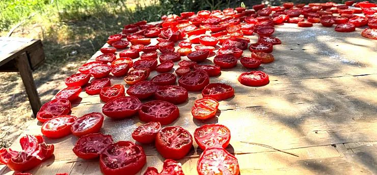 Malatya'da Yazın Bereketi Kışa Hazırlanıyor!